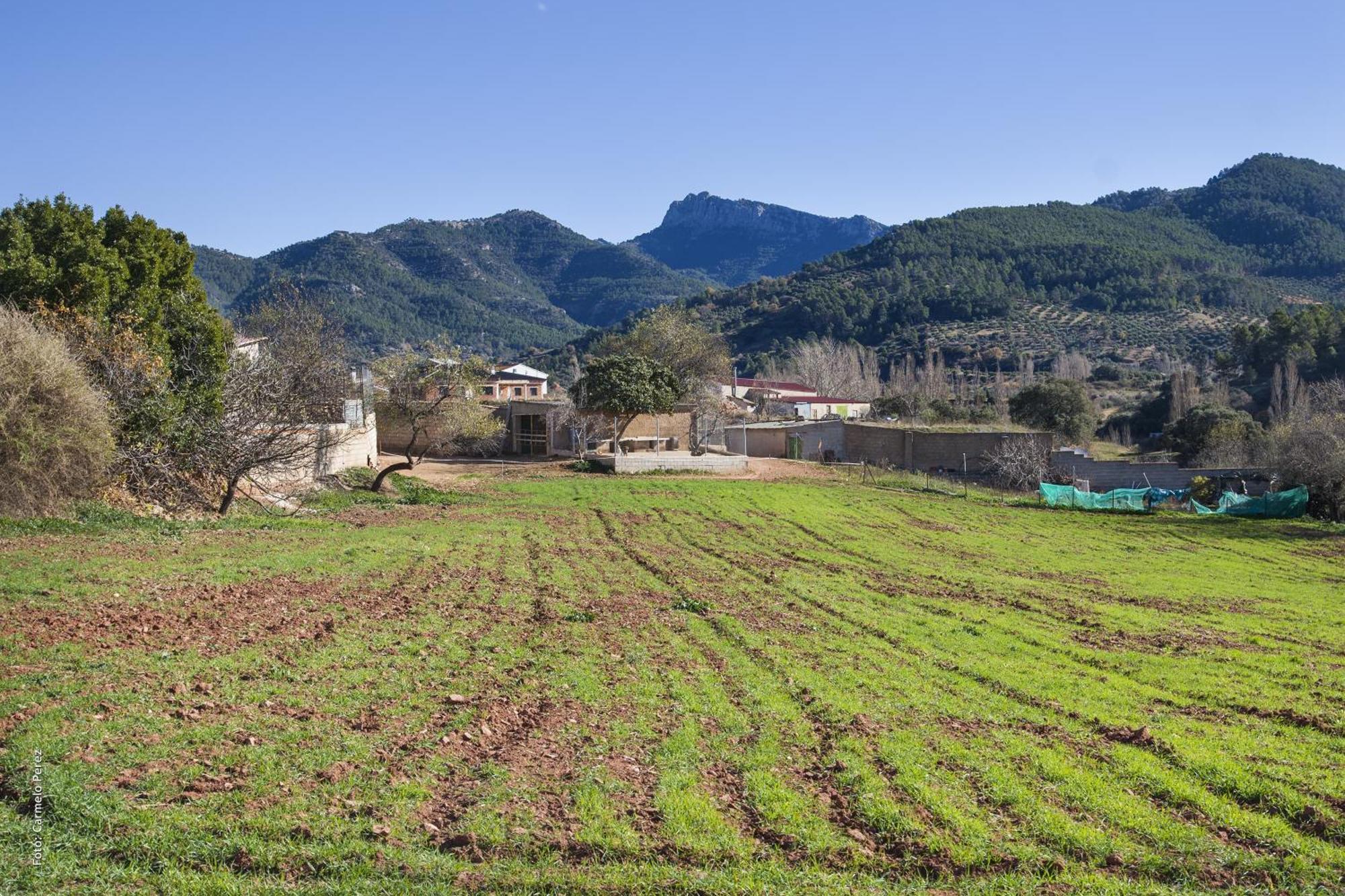 Casa Rural Chache Casto Bienservida Exterior photo